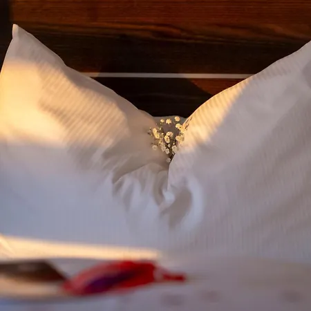 Rheingarten 4* דיסבורג