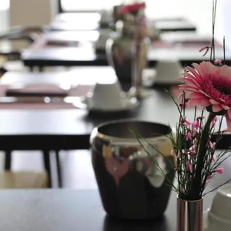 Rheingarten Hotel 4*