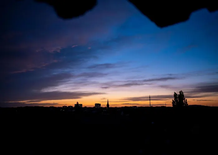 Rheingarten מלון