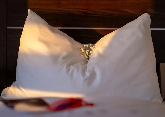 Rheingarten 4* דיסבורג